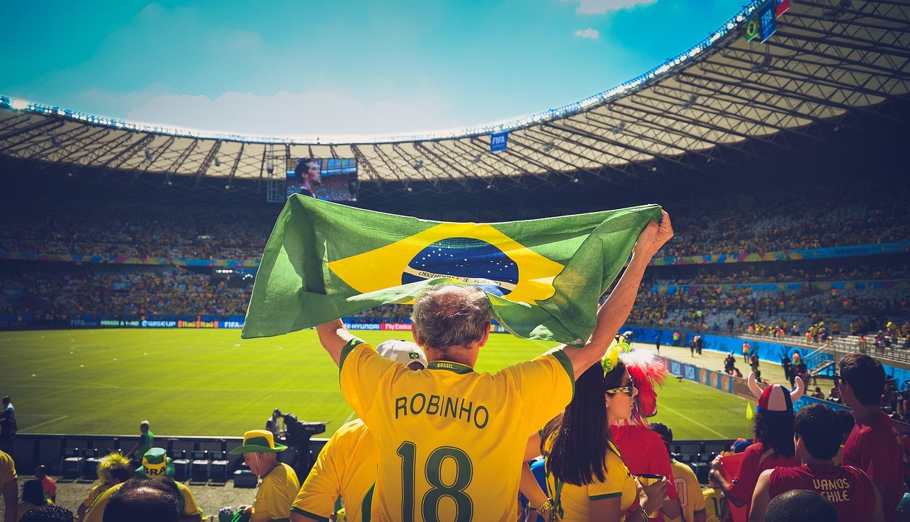 people, soccer, brazil flag, stadium, crowd, audience, sports, flag, game, match, football, cheering, brazil, brazilian, championship, soccer field, world cup, robinho